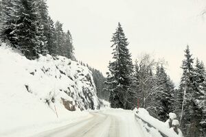 Eidsvoll Minneåsen 260124.JPG