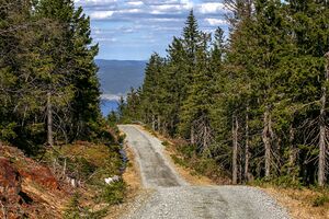 Eidsvoll Mistbergvegen 240512.jpg