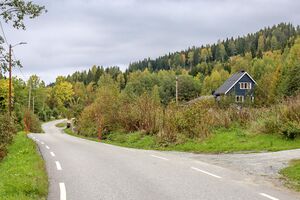 Eidsvoll Røysiåsen 250928.jpg