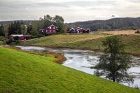 Parti fra Børterelva mellom Riksvei 120 og Øyeren. Foto: Leif-Harald Ruud (2019)