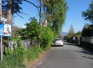 Eikeveien Oslo 2014.jpg