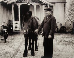 Einar Semb med Veslebrun på Vassøya rundt 1950.