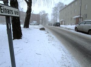 Einars vei Oslo 2014.jpg