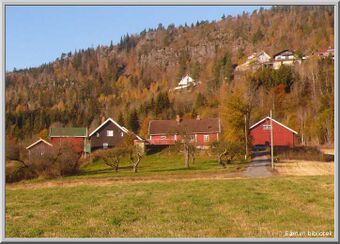 Eine Bærum 2008.jpg