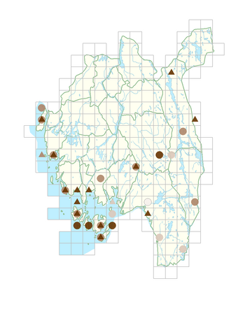 Eleocharis quinqueflora.png