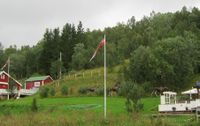 463. Elg ved Storvannet 2.jpg