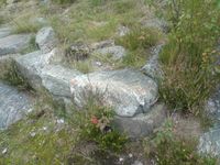 Detalj fra ruinen av nordre skanse. Foto: Pål Giørtz