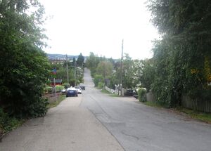 Eltonveien Oslo 2015.jpg