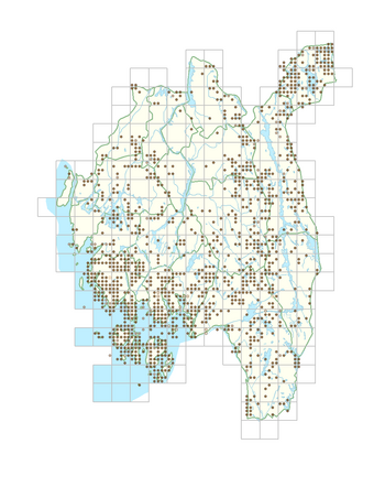 Empetrum nigrum subsp. nigrum 1.png