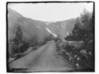 169. En fjell vei en mann med hest og kjerre - NB MS G4 0865.jpg