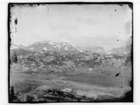 «En reinsdyrflokk». Foto: Marthinius Skøien, ca. 1880–1910.