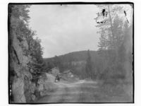 38. En skogsvei - NB MS G4 0493.jpg