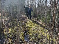 6. Endovern fra skogsveien mot Rom.jpeg