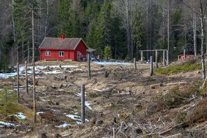 Enebakk Bråtan 230409.jpg