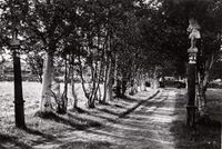 10. Engan Peder, Hiorths anlegg, Sør-Trøndelag - Riksantikvaren-T359 01 0124.jpg