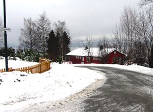 Engelivegen Feiring 2014.jpg