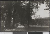 254. Enningdalen - no-nb digifoto 20160108 00307 bldsa PK13711.jpg