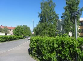 Fra Enoks vei. Foto: Stig Rune Pedersen (2014).