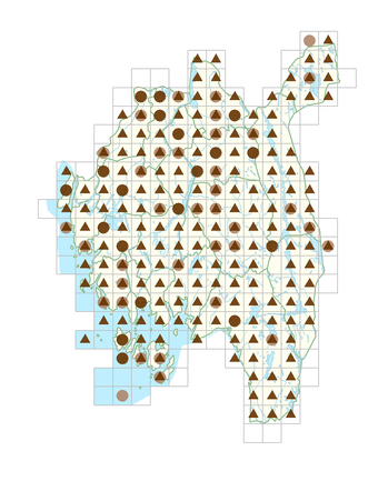 Epilobium ciliatum subsp. ciliatum.png