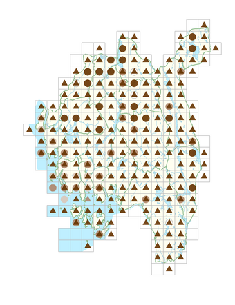 Epilobium montanum.png