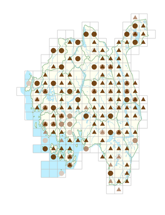 Epilobium palustre.png