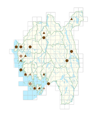 Epipactis helleborine subsp. helleborine.png