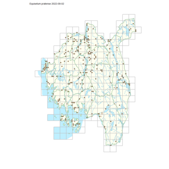 Equisetum pratense 1.png