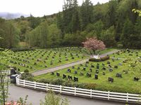 3. Erdal kirkegård 2015.JPG