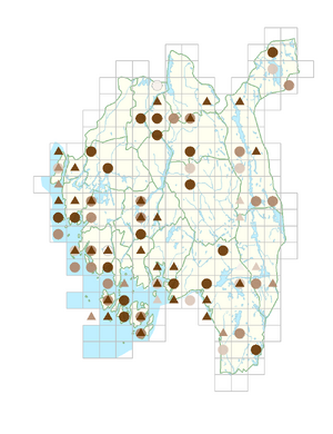 Erigeron acris subsp. acris.png