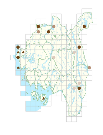 Erigeron acris subsp. droebachiensis.png