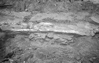 267. Erkebispegården, Clemenskapellet, Hordaland - Riksantikvaren-T248 02 0873.jpg