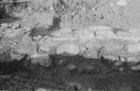 275. Erkebispegården, Clemenskapellet, Hordaland - Riksantikvaren-T248 02 0882.jpg