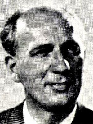 Erling Utnem prest.jpg