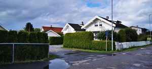 Ermesjo Kåresgate 05.07.2020.jpg