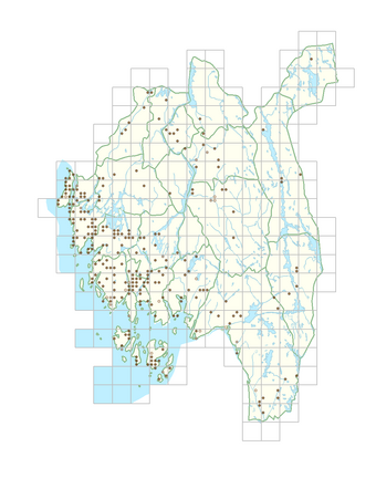 Erodium cicutarium 1.png