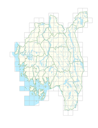 Eruca vesicaria 1.png