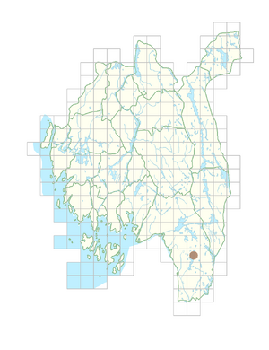 Erythranthe lutea.png