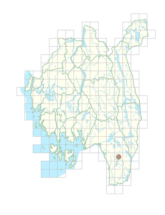 Erythranthe lutea.png