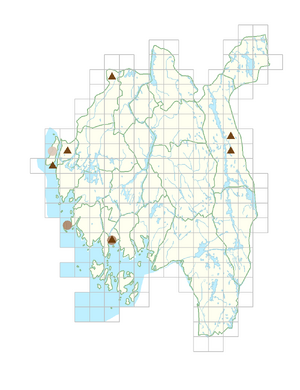 Eschscholzia californica.png