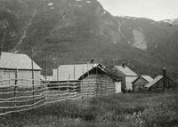 Hesjer i Granvin i Hardanger. Foto: Anders Bugge