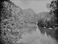 175. Et skogskjern - NB MS G4 0799.jpg