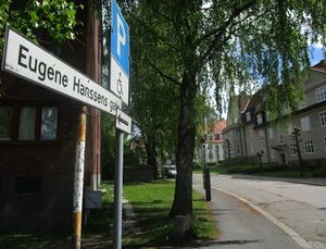 Eugéne Hanssens gate Oslo 2015.jpg