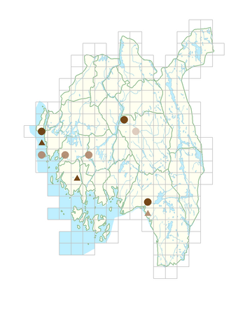 Euonymus europaeus.png