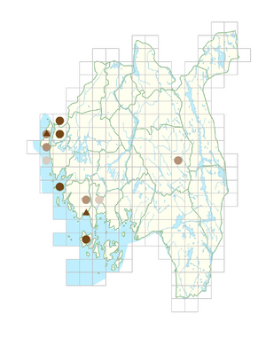 Euphorbia esula subsp. tommasiniana.png