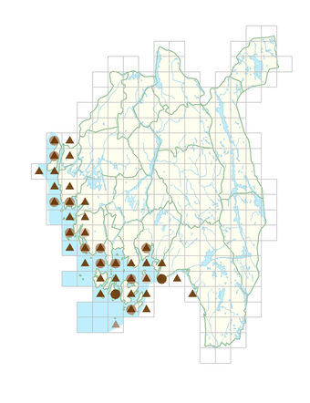 Euphorbia palustris.png