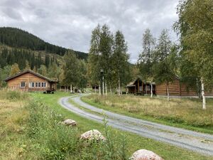 Eva Bull Holtes museum.jpeg