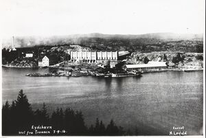 Eydehavn seet fra Tromøen - no-nb digifoto 20160419 00123 bldsa EYDE 5 08 004.jpg