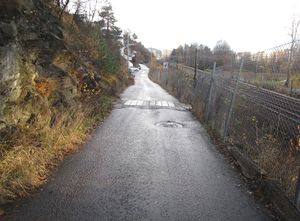 Fagerlia Oslo 2015.jpg