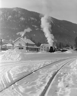 Fagernes - no-nb digifoto 20160720 00148 NB MIT FNR 22960.jpg