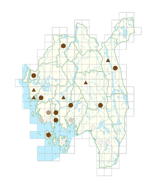 Fagopyrum esculentum.png